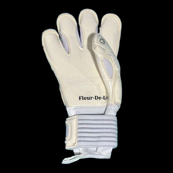 Fleur De Lis GK Nova Pro OG Palm View