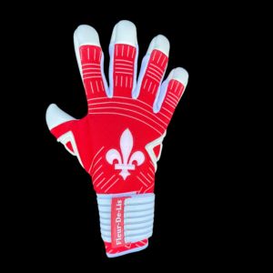 Fleur De Lis GK Venum Pro Inferno Trim Glove View