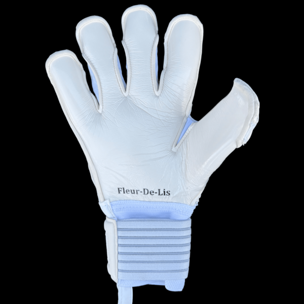 Fleur De Lis GK Nova Pro 2.0 Charcoal Trim Palm View
