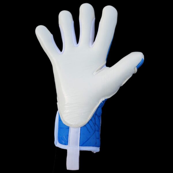 Fleur De Lis GK Venum Pros 2.0 Frost Trim Palm View