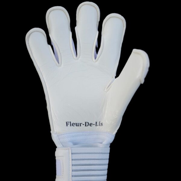 Fleur De Lis GK Nova Pro 2.0 Bubblegum Trim Palm View