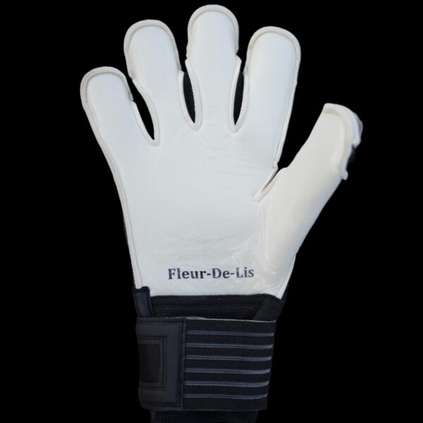 Fleur De Lis GK Nova Pro 2.0 Onyx Trim Palm View